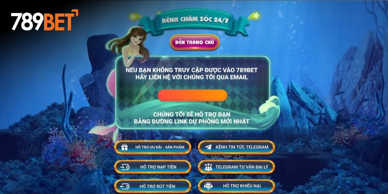 Cách thức liên hệ tư vấn viên của 789Bet